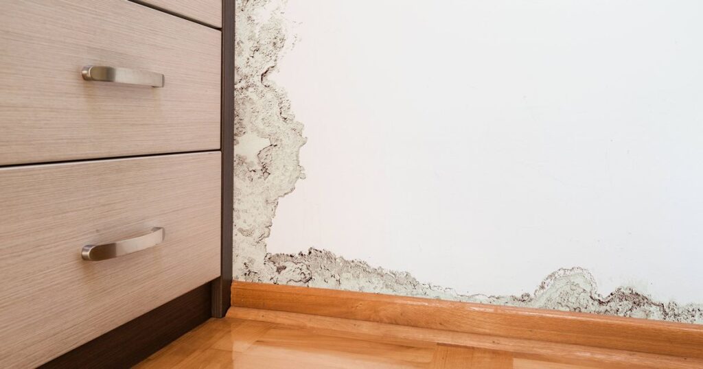 0_Damage-caused-by-damp-on-a-wall-in-modern-house.jpg