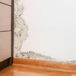 0_Damage-caused-by-damp-on-a-wall-in-modern-house.jpg