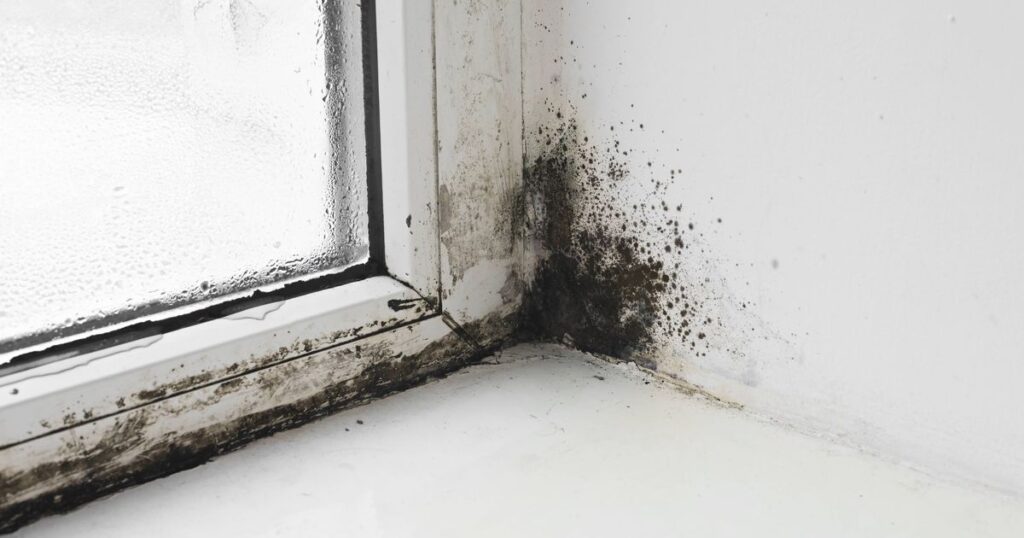 0_Mold-on-the-window-in-the-house.jpg