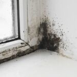 0_Mold-on-the-window-in-the-house.jpg