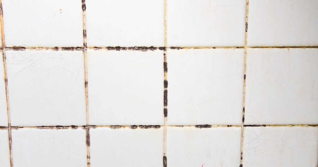 0_The-tiles-have-mold-stains-in-their-grooves.jpg