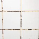 0_The-tiles-have-mold-stains-in-their-grooves.jpg