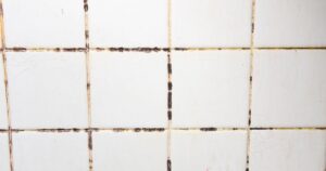0_The-tiles-have-mold-stains-in-their-grooves.jpg