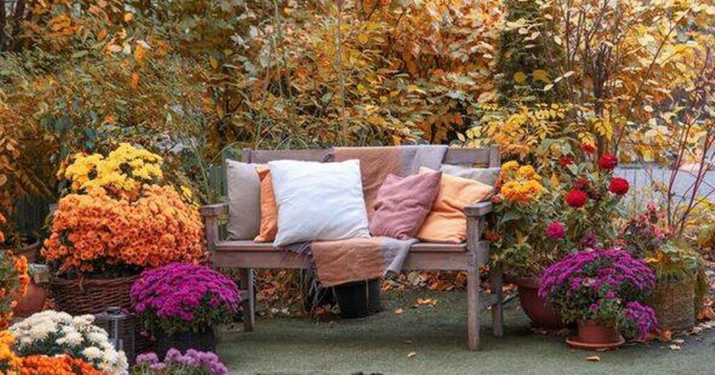 0_Wooden-garden-bench-with-pillows-among-autumn-flowers-and-colorful-foliage-in-yellow-fall-backyard.jpeg