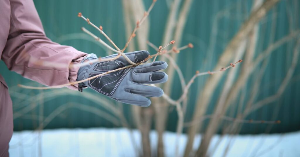 0_Working-in-winter-garden-gardeners-hand-in-work-glove-holds-tree-branch-before-pruning.jpg