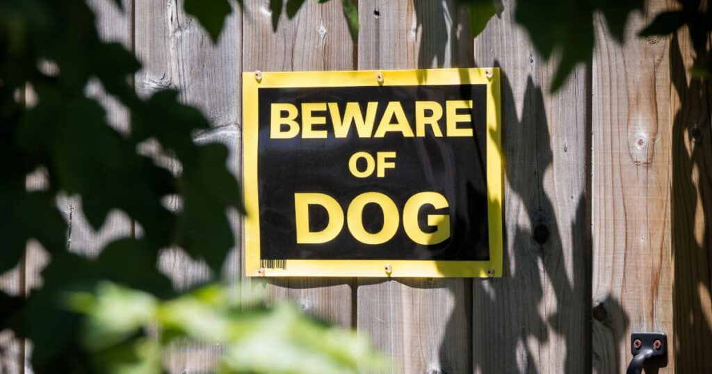 0_beware-of-dog.jpg