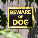0_beware-of-dog.jpg