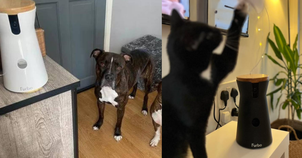 0_furbo-camera.png