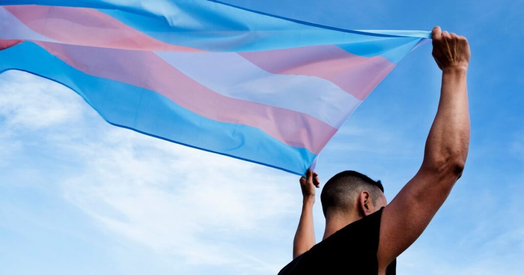 0_young-person-with-a-transgender-pride-flag.jpg