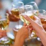 103750485-15276791-Experts_have_urged_people_to_stop_drinking_alcohol_to_lower_thei-a-1_176286028896.avif