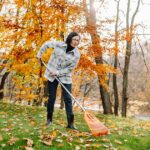 1_Collection-of-fallen-leaves-Raking-autumn-leaves-in-the-yard.jpg