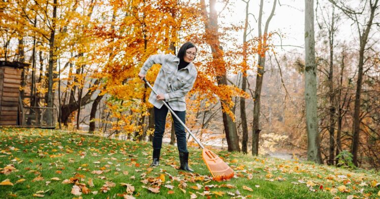 1_Collection-of-fallen-leaves-Raking-autumn-leaves-in-the-yard.jpg