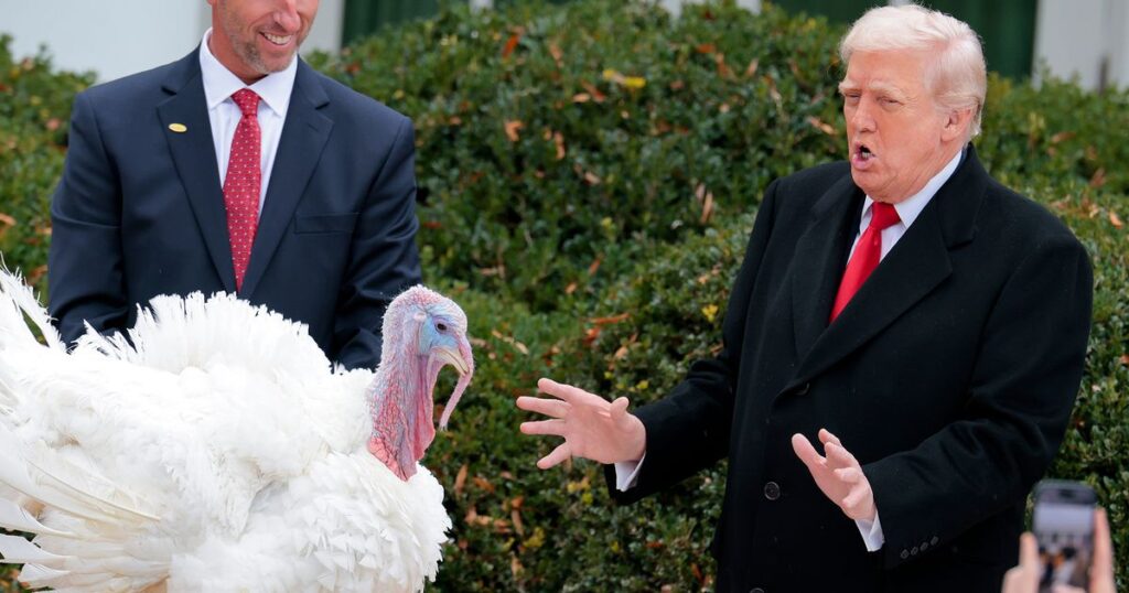 1_President-Trump-And-First-Lady-Melania-Trump-Pardon-National-Thanksgiving-Turkeys.jpg