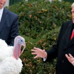 1_President-Trump-And-First-Lady-Melania-Trump-Pardon-National-Thanksgiving-Turkeys.jpg