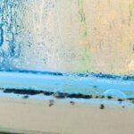2_Picture-of-condensation-and-mould-on-a-window.jpg