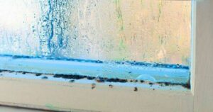 2_Picture-of-condensation-and-mould-on-a-window.jpg