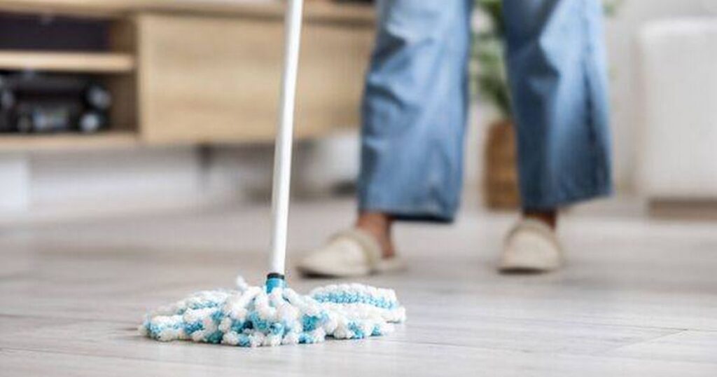 3_View-of-the-mop-with-which-the-cleaning-lady-is-mopping-the-floor.jpg