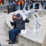 98217917-15280015-Pictured_Seagulls_attacking_a_couple_trying_to_enjoy_their_fish_-a-19_176286558548.avif
