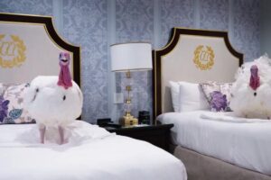 Gobble-and-Waddle-live-it-up-in-luxury-hotel-ahead-of-White-House-turkey-pardon.jpeg