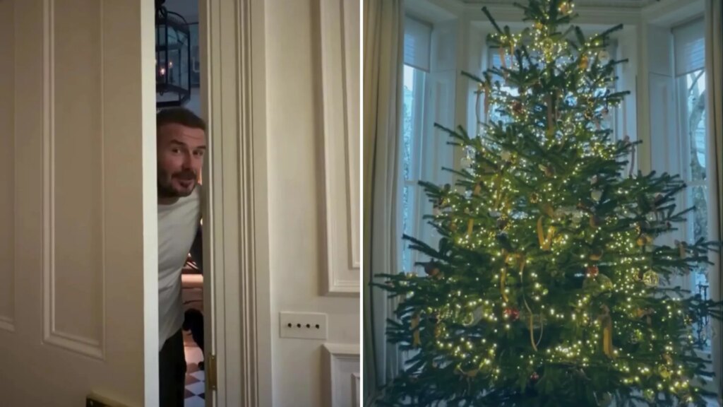 david-beckham-tree.jpg