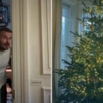 david-beckham-tree.jpg