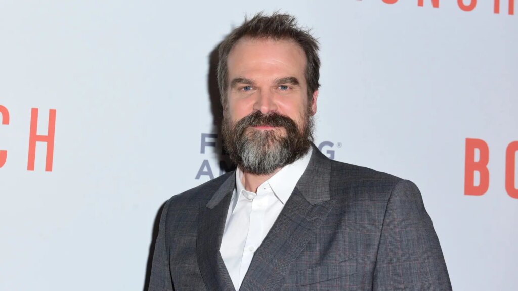 el-actor-david-harbour.r_d.1436-537.jpeg