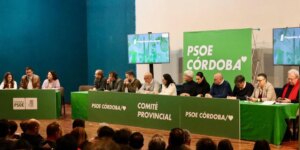 planas-psoe-cordoba-U60115487412jMq-1024x512@diario_abc.jpg
