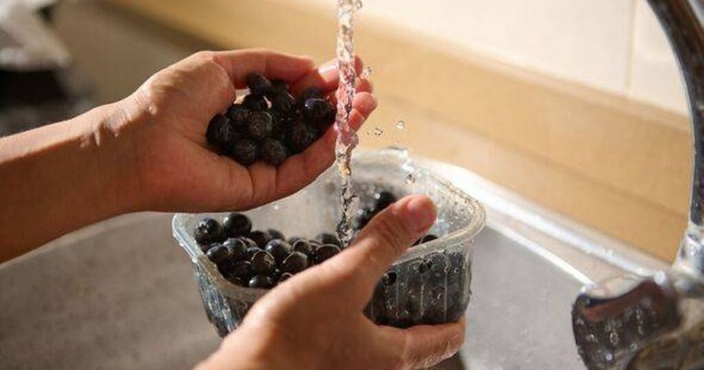 0_Hands-Washing-Fresh-Blueberries-Under-Running-Water-in-a-Kitchen-Sink.jpg
