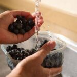 0_Hands-Washing-Fresh-Blueberries-Under-Running-Water-in-a-Kitchen-Sink.jpg