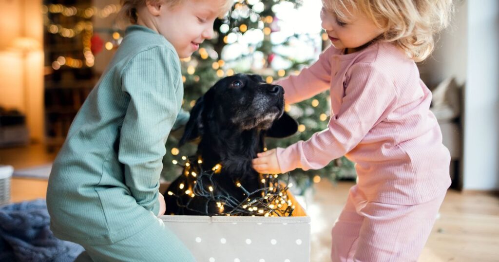 0_Small-children-playing-with-dog-indoors-at-home-at-Christmas-time.jpg