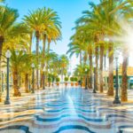 0_Sunny-promenade-with-palms-in-Alicante-city-Spain.jpg