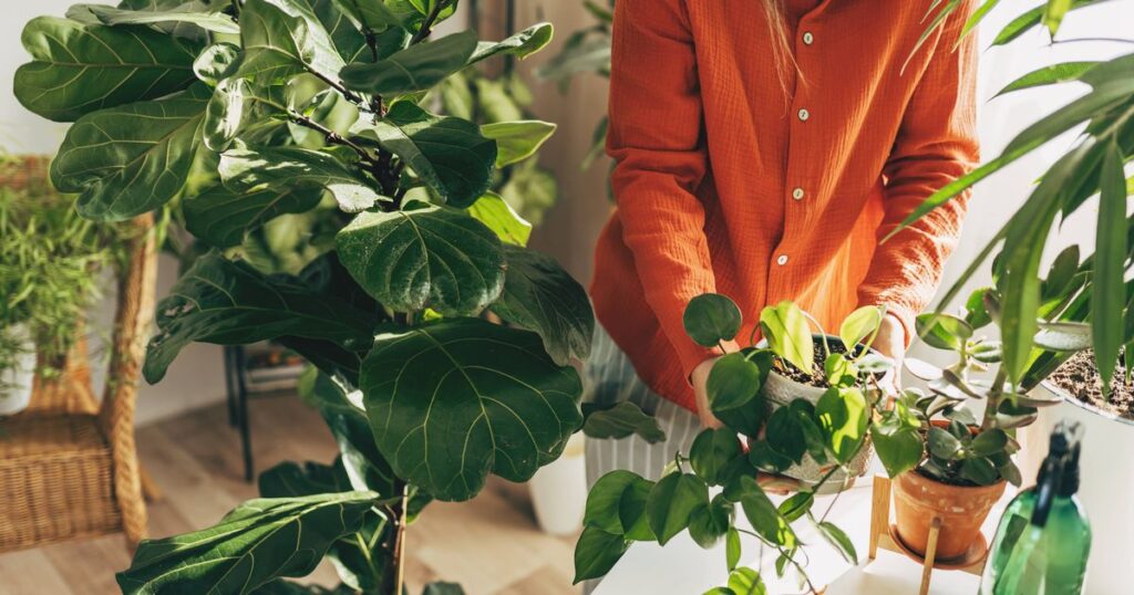 0_Woman-sprays-plants-in-flower-pots-with-clean-water-from-bottle-Closeup-hand-with-sprayer-Caring-f.jpeg