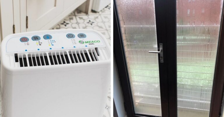 0_meaco-dehumidifier-condensation-mouldjpeg.jpg