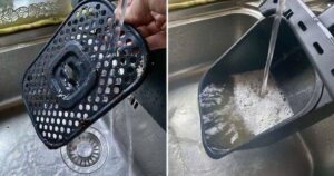 0_rinsing-air-fryer-basket.jpg