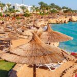0_sunny-resort-beach-with-palm-tree-at-the-coast-shore-of-red-sea-in-sharm-el-sheikh-sinai-egypt-as.jpeg