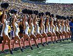 103695245-0-From_the_bleachers_in_the_Big_House_the_University_of_Michigan_i-a-17_1762545041996.jpg
