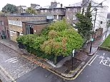 104180719-0-The_Camden_Mews_property_on_auction_which_potential_buyers_might-a-8_1765378491942.jpg
