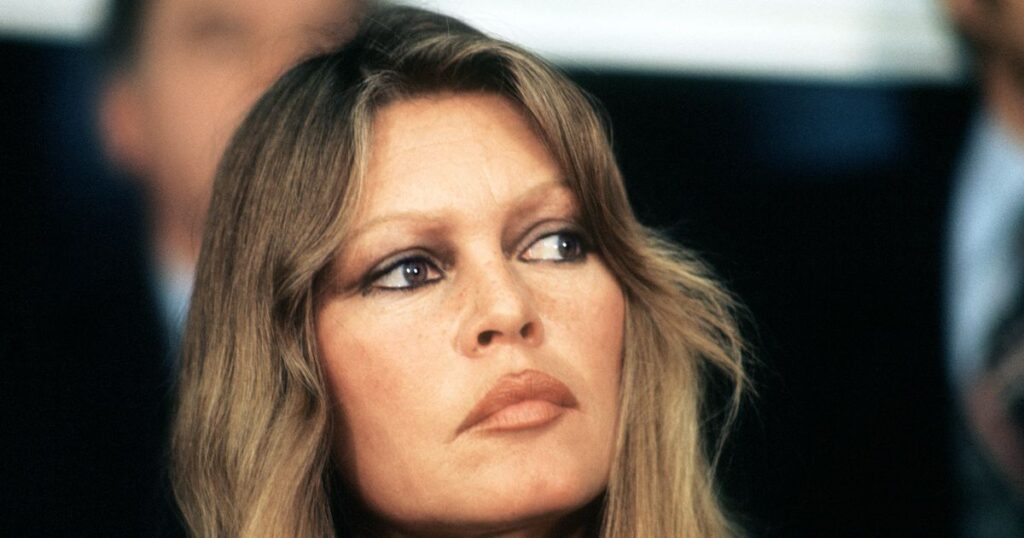 1_FILES-FRANCE-CINEMA-BARDOT.jpg
