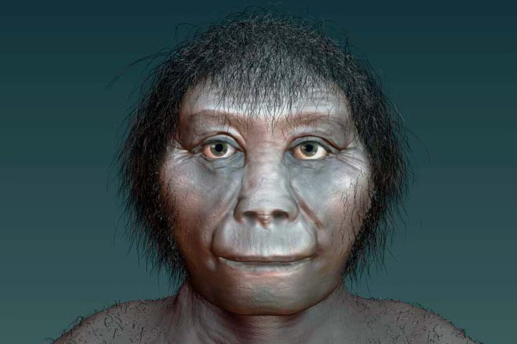 Artists-impression-of-Homo-floresiensis.jpeg