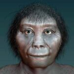 Artists-impression-of-Homo-floresiensis.jpeg