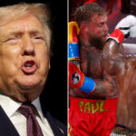 HB-OFF-PLATFORM-TRUMP-AJ-PAUL.jpg