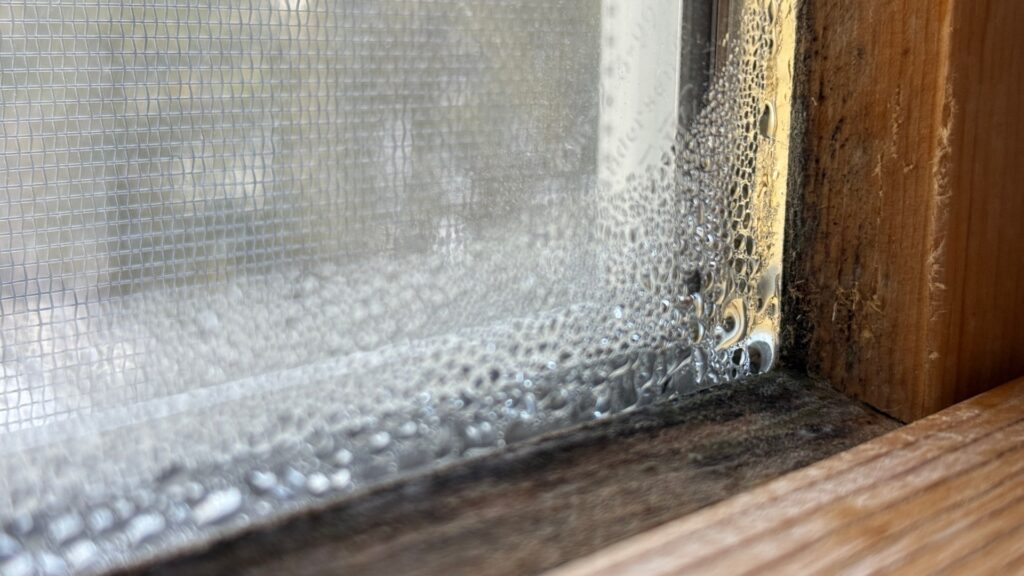 condensation-interior-home-window-1046343914.jpg