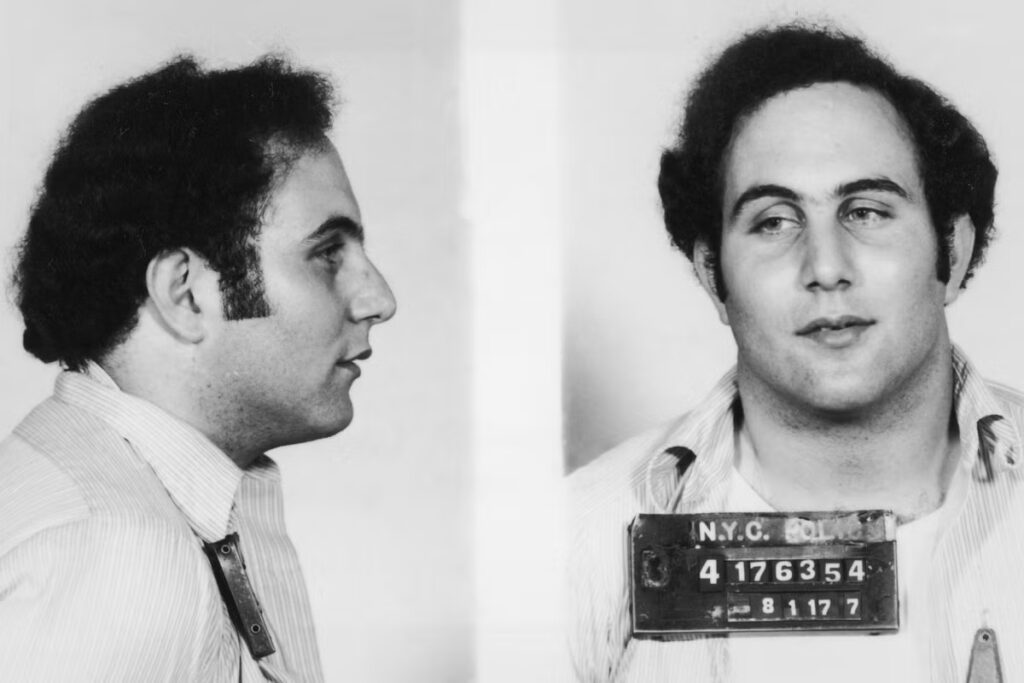 david-berkowitz.jpg