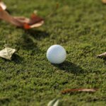 golf-ball-blank-fall-g.jpg