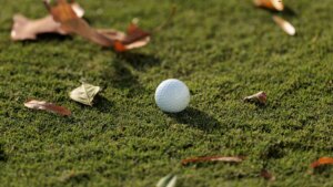 golf-ball-blank-fall-g.jpg