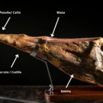 partes-pata-jamon.jpeg