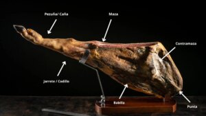 partes-pata-jamon.jpeg