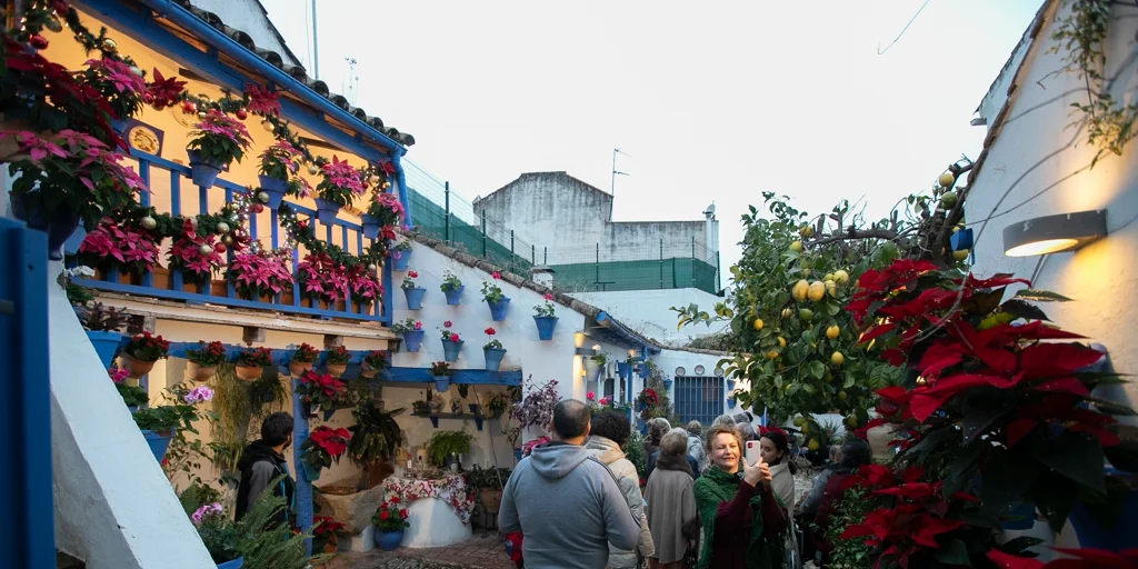 patios-navidad-cordoba2023_20251205202108-U56373580680Gln-1024x512@diario_abc.jpg