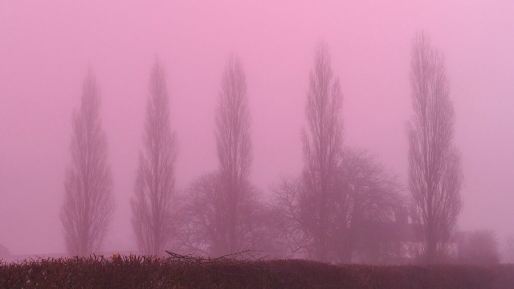pink-fog-enveloped-countryside-sunrise-1046322769.jpg