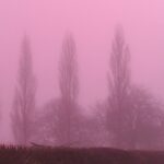 pink-fog-enveloped-countryside-sunrise-1046322769.jpg